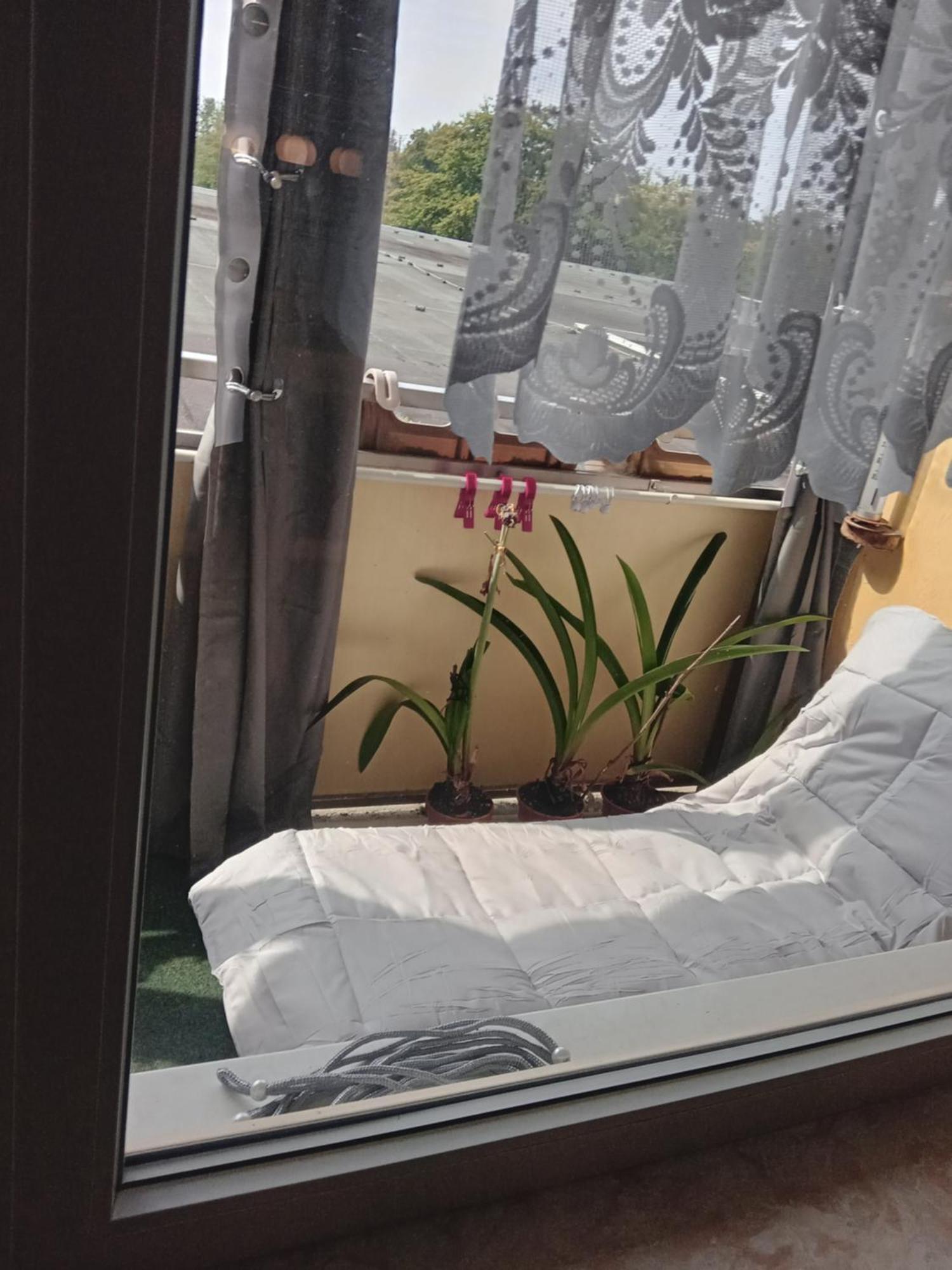 Appartement 416, Am Kurpark 3, 38700 Braunlage